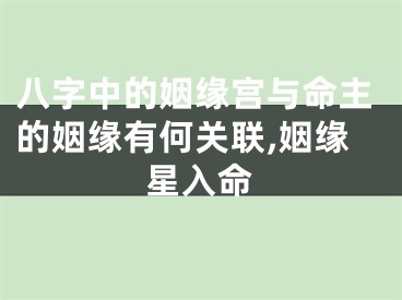 八字中的姻缘宫与命主的姻缘有何关联,姻缘星入命