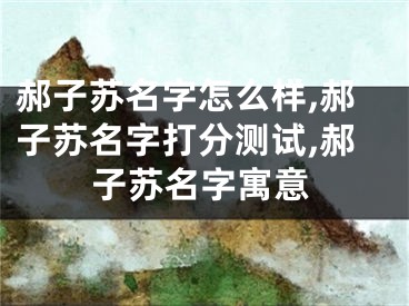 郝子苏名字怎么样,郝子苏名字打分测试,郝子苏名字寓意
