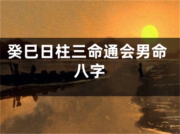 癸巳日柱三命通会男命八字