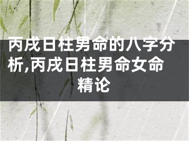 丙戌日柱男命的八字分析,丙戌日柱男命女命精论