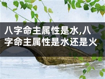 八字命主属性是水,八字命主属性是水还是火