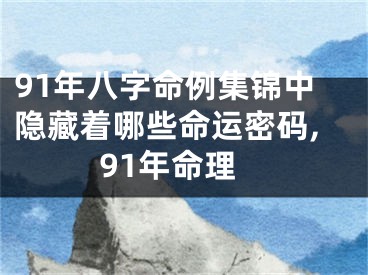 91年八字命例集锦中隐藏着哪些命运密码,91年命理