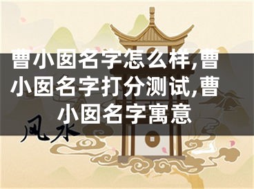 曹小囡名字怎么样,曹小囡名字打分测试,曹小囡名字寓意