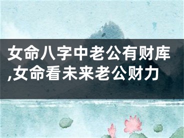 女命八字中老公有财库,女命看未来老公财力