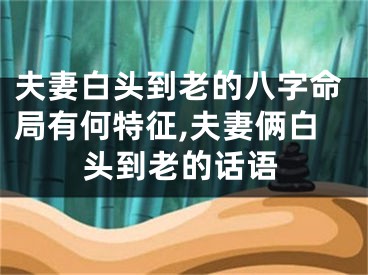 夫妻白头到老的八字命局有何特征,夫妻俩白头到老的话语