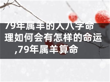 79年属羊的人八字命理如何会有怎样的命运,79年属羊算命