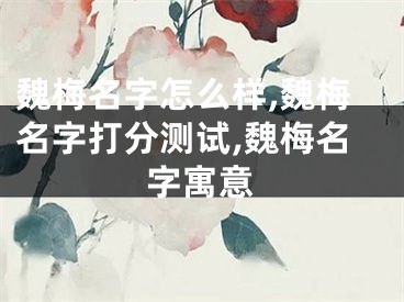 魏梅名字怎么样,魏梅名字打分测试,魏梅名字寓意
