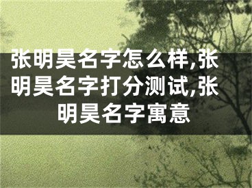 张明昊名字怎么样,张明昊名字打分测试,张明昊名字寓意