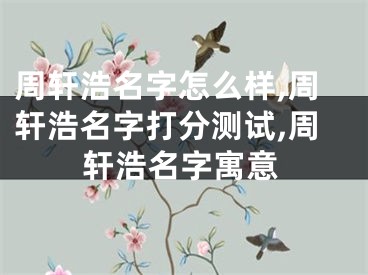 周轩浩名字怎么样,周轩浩名字打分测试,周轩浩名字寓意