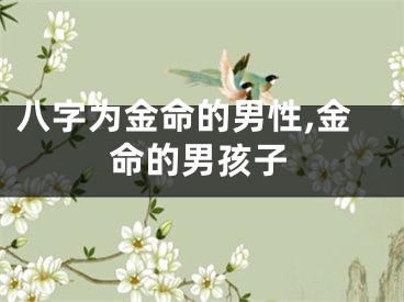 八字为金命的男性,金命的男孩子