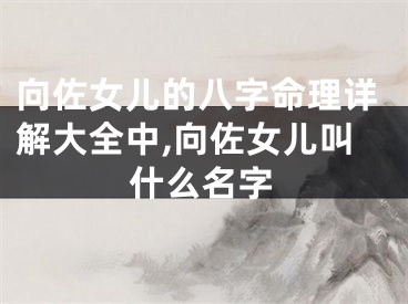 向佐女儿的八字命理详解大全中,向佐女儿叫什么名字