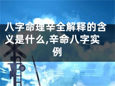 八字命理辛全解释的含义是什么,辛命八字实例