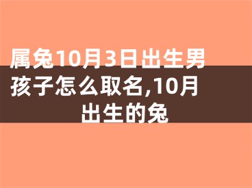 属兔10月3日出生男孩子怎么取名,10月出生的兔
