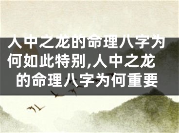 人中之龙的命理八字为何如此特别,人中之龙的命理八字为何重要
