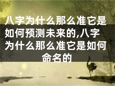 八字为什么那么准它是如何预测未来的,八字为什么那么准它是如何命名的