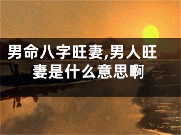 男命八字旺妻,男人旺妻是什么意思啊