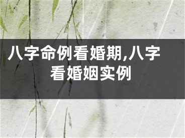 八字命例看婚期,八字看婚姻实例