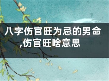 八字伤官旺为忌的男命,伤官旺啥意思