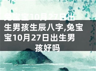 兔宝宝10月27日出生男孩生辰八字,兔宝宝10月27日出生男孩好吗