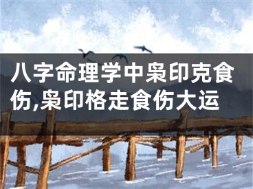 八字命理学中枭印克食伤,枭印格走食伤大运