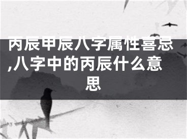 丙辰甲辰八字属性喜忌,八字中的丙辰什么意思