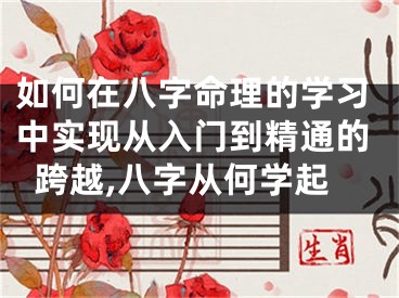 如何在八字命理的学习中实现从入门到精通的跨越,八字从何学起