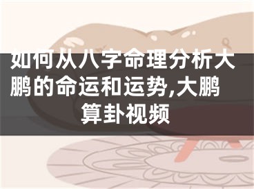 如何从八字命理分析大鹏的命运和运势,大鹏算卦视频