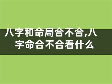 八字和命局合不合,八字命合不合看什么