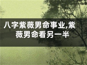 八字紫薇男命事业,紫薇男命看另一半
