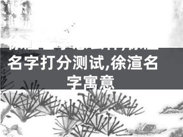 徐渲名字怎么样,徐渲名字打分测试,徐渲名字寓意