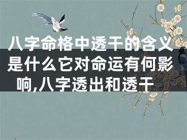八字命格中透干的含义是什么它对命运有何影响,八字透出和透干