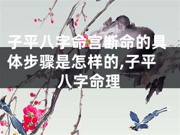 子平八字命宫断命的具体步骤是怎样的,子平八字命理