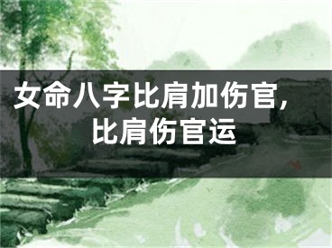 女命八字比肩加伤官,比肩伤官运