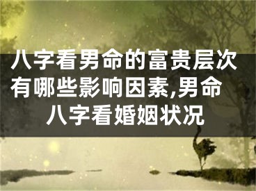 八字看男命的富贵层次有哪些影响因素,男命八字看婚姻状况
