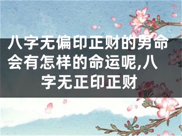 八字无偏印正财的男命会有怎样的命运呢,八字无正印正财