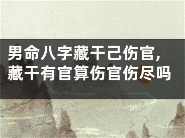 男命八字藏干己伤官,藏干有官算伤官伤尽吗
