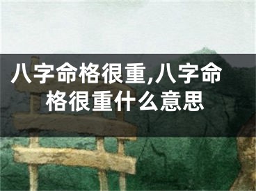 八字命格很重,八字命格很重什么意思