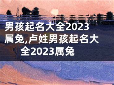 男孩起名大全2023属兔,卢姓男孩起名大全2023属兔
