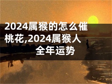 2024属猴的怎么催桃花,2024属猴人全年运势