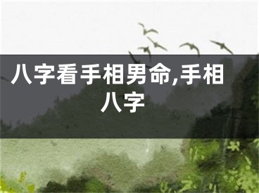 八字看手相男命,手相 八字