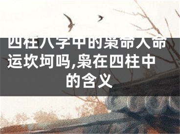 四柱八字中的枭命人命运坎坷吗,枭在四柱中的含义