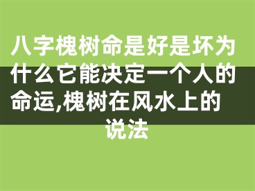 八字槐树命是好是坏为什么它能决定一个人的命运,槐树在风水上的说法