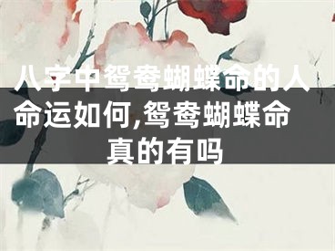 八字中鸳鸯蝴蝶命的人命运如何,鸳鸯蝴蝶命真的有吗