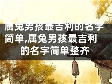 属兔男孩最吉利的名字简单,属兔男孩最吉利的名字简单整齐