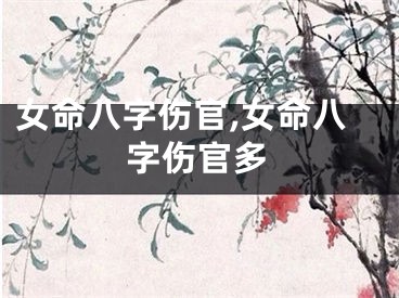 女命八字伤官,女命八字伤官多