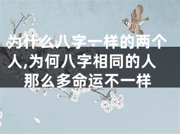 为什么八字一样的两个人,为何八字相同的人那么多命运不一样