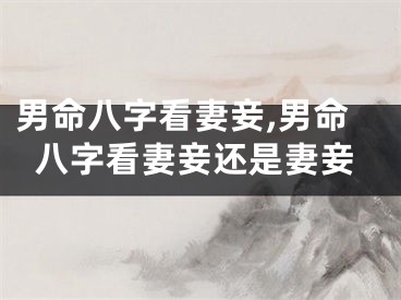 男命八字看妻妾,男命八字看妻妾还是妻妾
