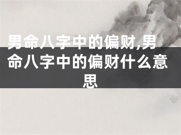 男命八字中的偏财,男命八字中的偏财什么意思
