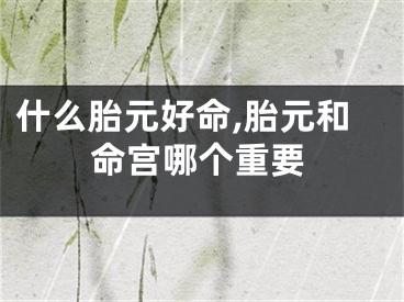 什么胎元好命,胎元和命宫哪个重要
