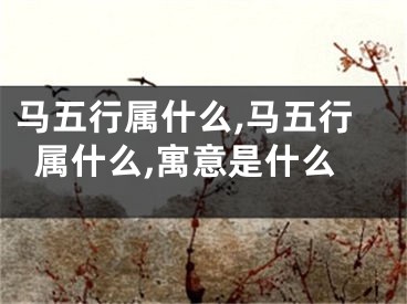 马五行属什么,马五行属什么,寓意是什么